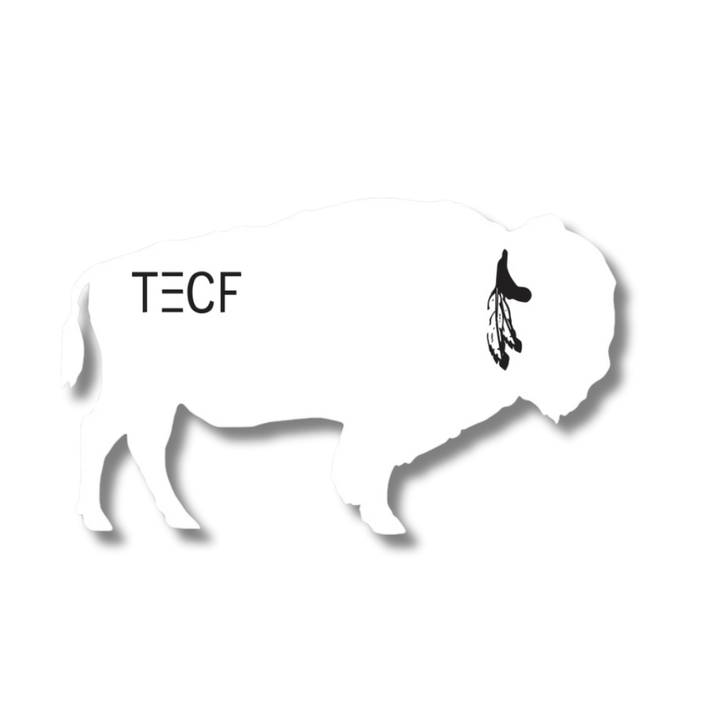 Silhouette of a buffalo or bison with ’TECF’ text on its body.