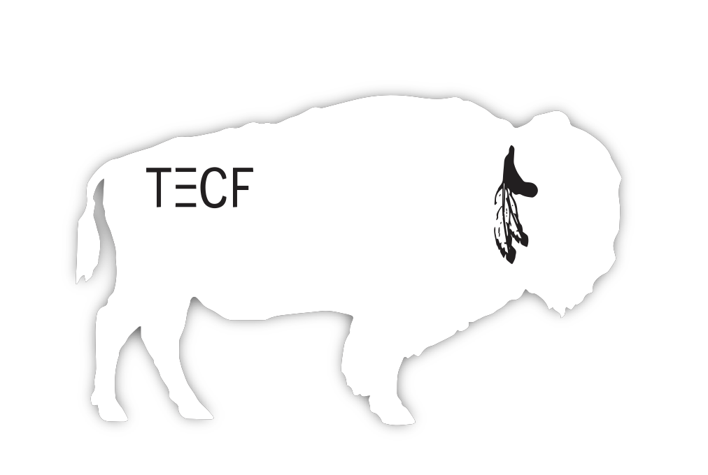 2024 Chase Rice Bison Decal | Chase Rice Official Merchandise